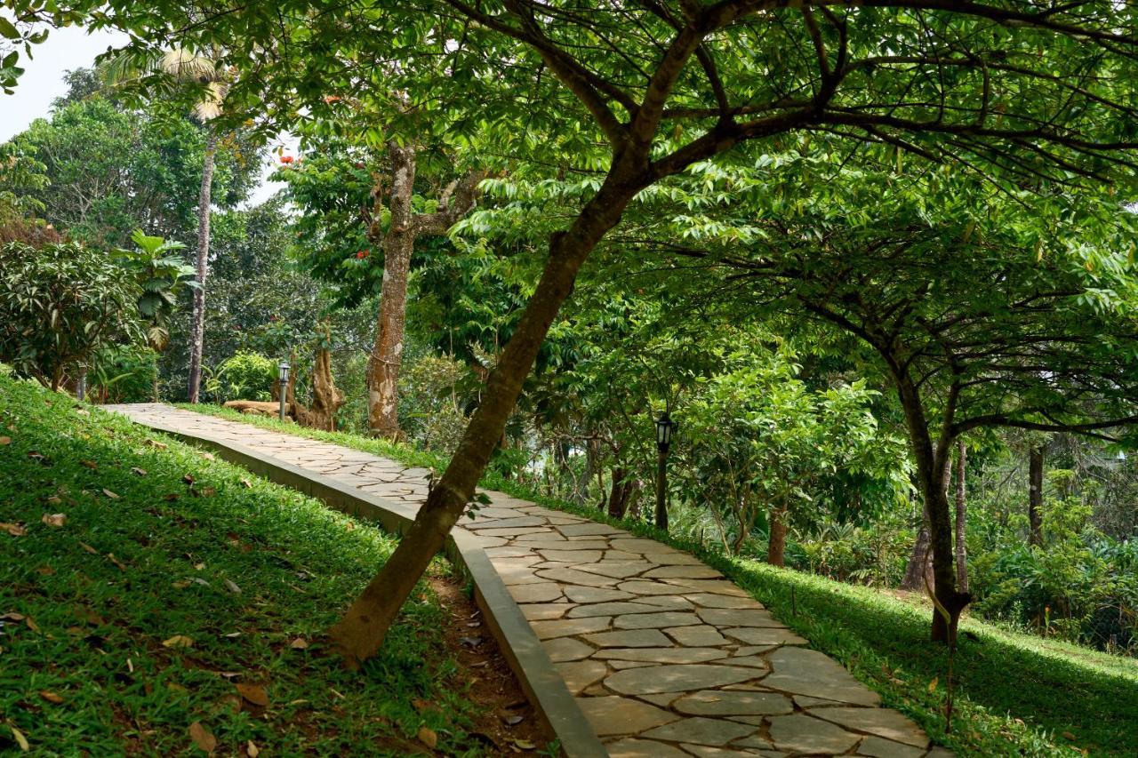 Haze And Kites Resort Munnar Bagian luar foto