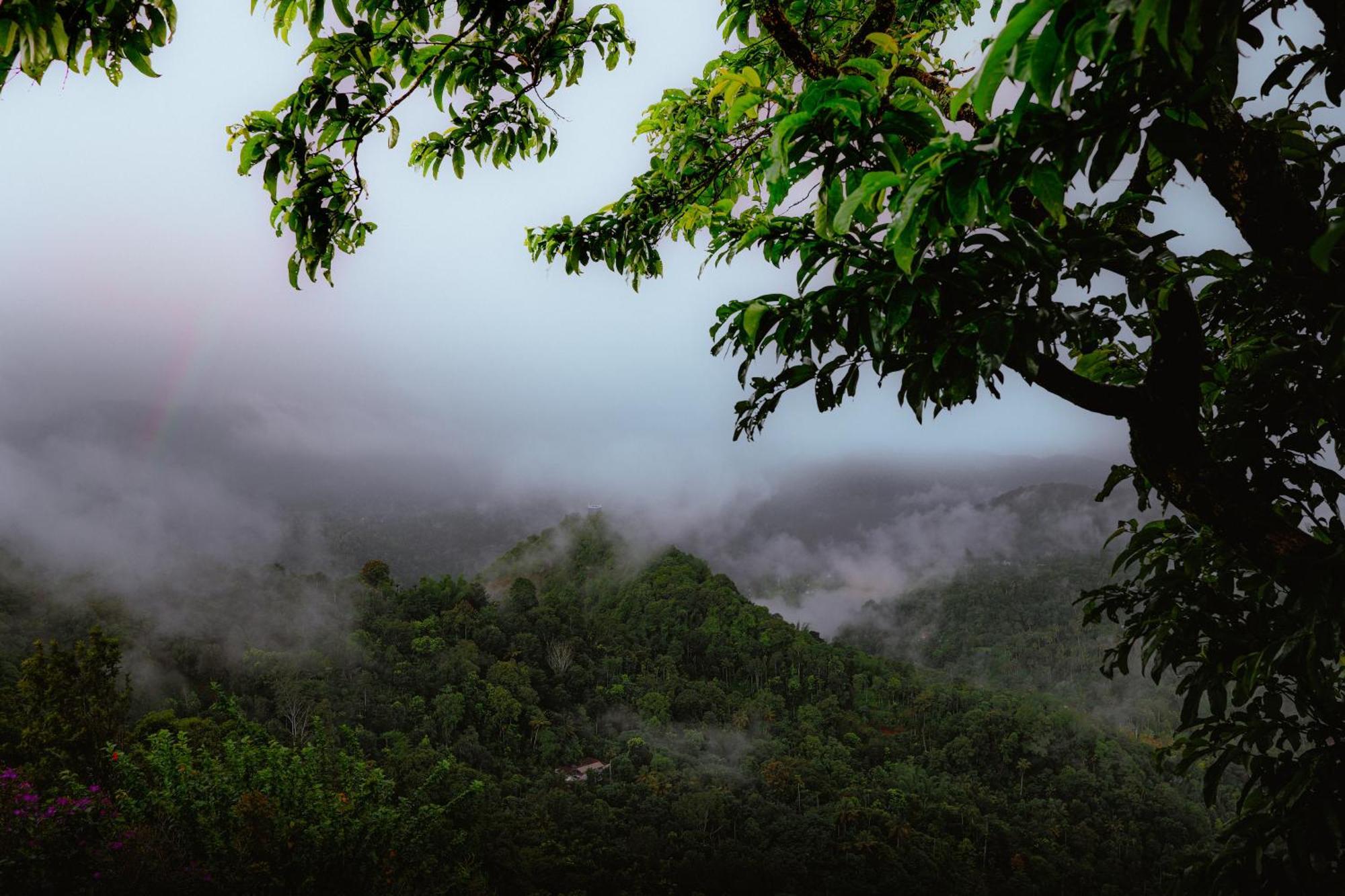 Haze And Kites Resort Munnar Bagian luar foto
