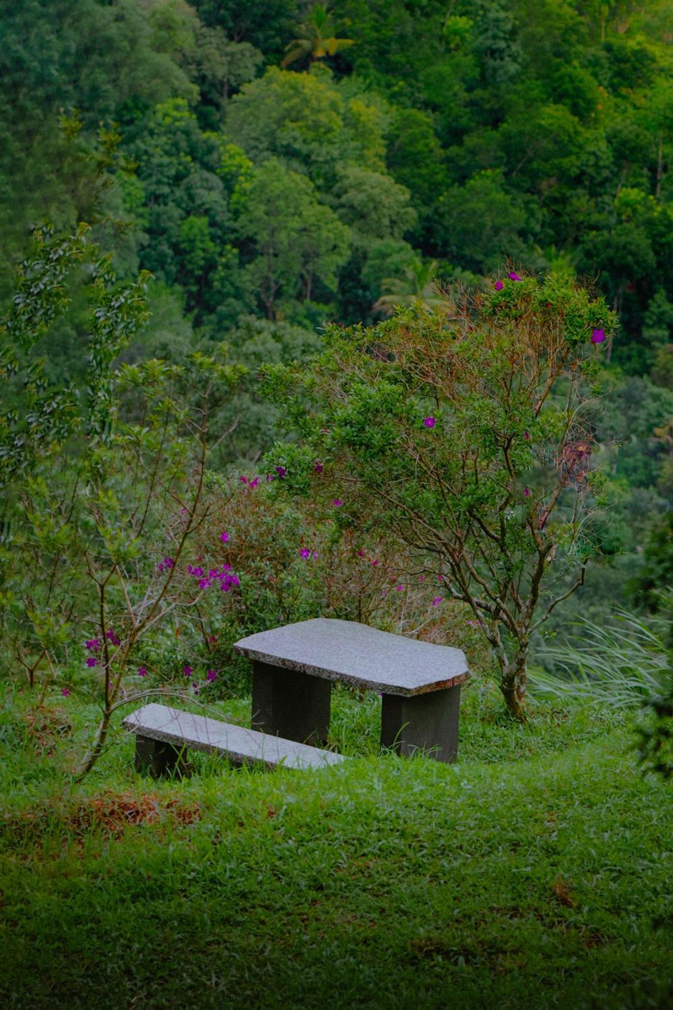 Haze And Kites Resort Munnar Bagian luar foto