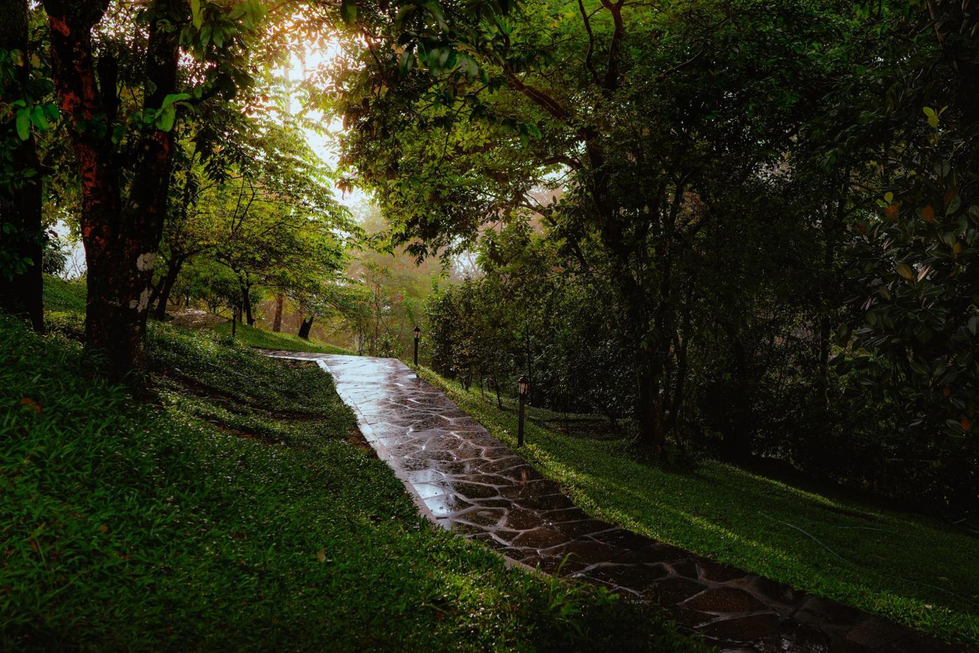 Haze And Kites Resort Munnar Bagian luar foto