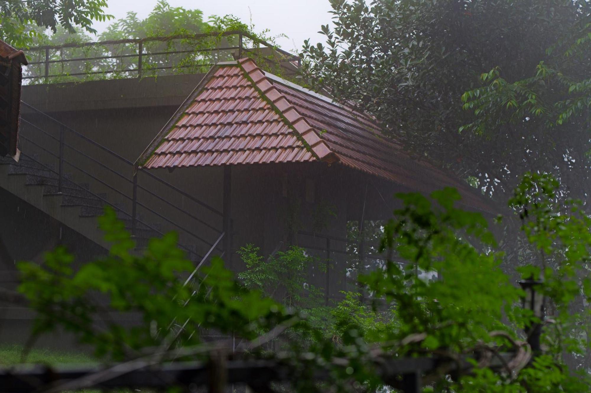 Haze And Kites Resort Munnar Bagian luar foto